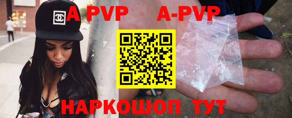 A PVP СК КРИС Владикавказ