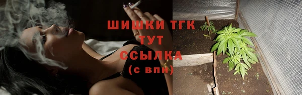 молекула духа Инсар
