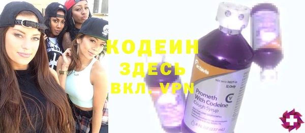 молекула духа Инсар