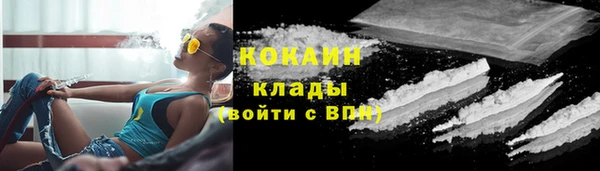 молекула духа Инсар