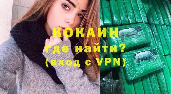 молекула духа Сясьстрой