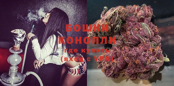 молекула духа Инсар