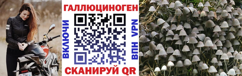 Галлюциногенные грибы MAGIC MUSHROOMS  где купить   Владикавказ 