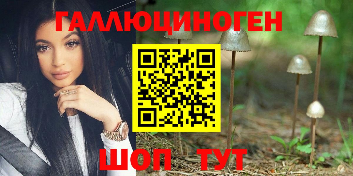Галлюциногенные грибы прущие грибы Владикавказ