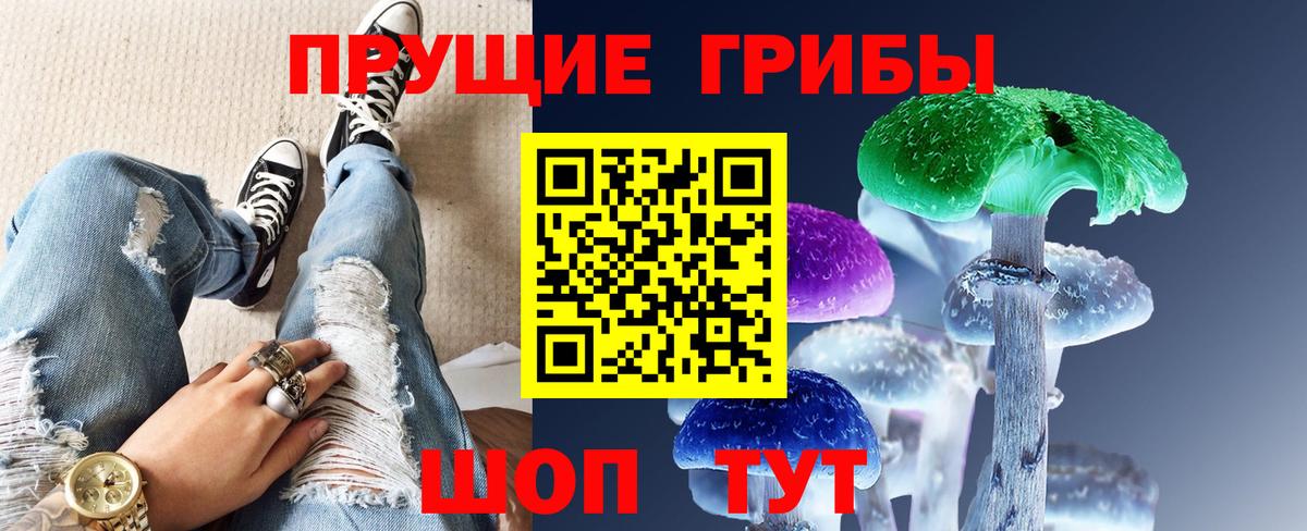 Псилоцибиновые грибы прущие грибы  Псилоцибиновые грибы мухоморы  Вход с VPN  Владикавказ 