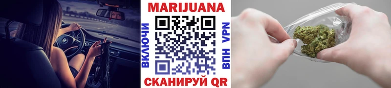 Конопля семена MEGA ссылка Владикавказ