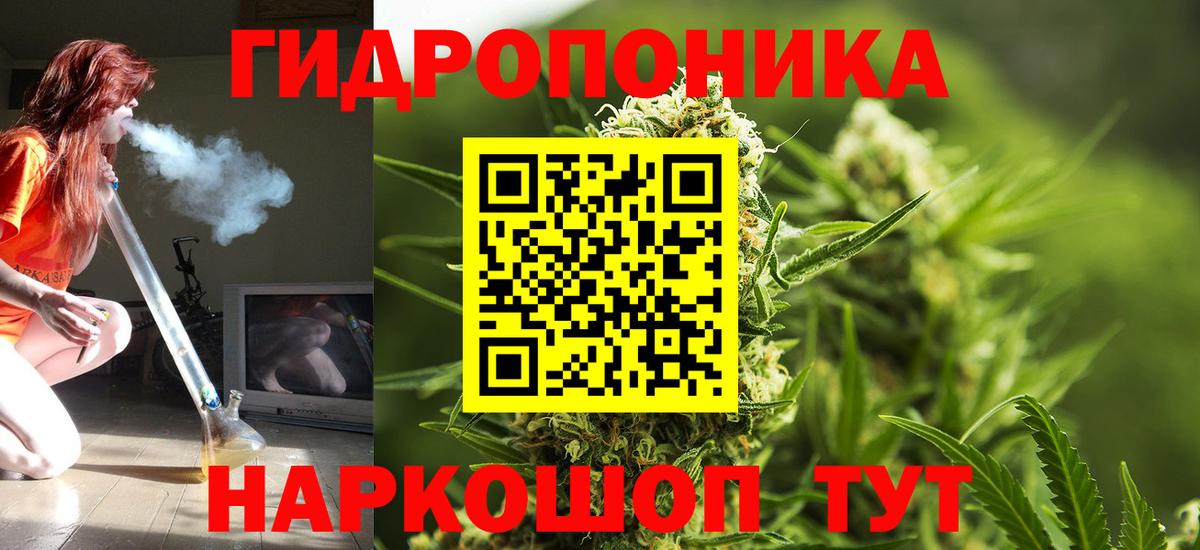 Бошки Шишки LSD WEED  Владикавказ  Шишки марихуана Bruce Banner  Марихуана гибрид 